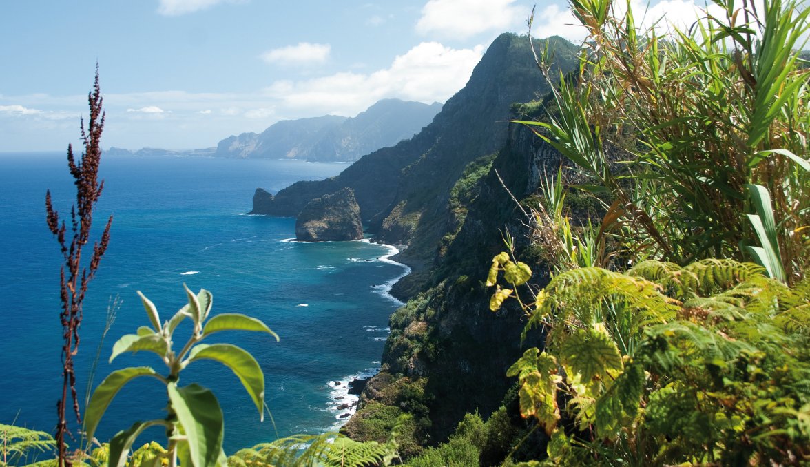Küste bei Santana &copy; Rulan - fotolia.com