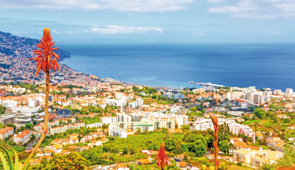 Blick über Funchal &copy; aldorado-fotolia.com