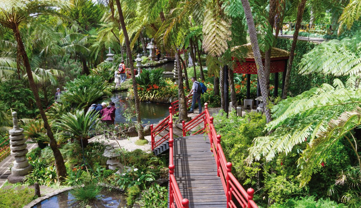 Botanischer Garten am Monte, Funchal &copy; anitasstudio-fotolia.com