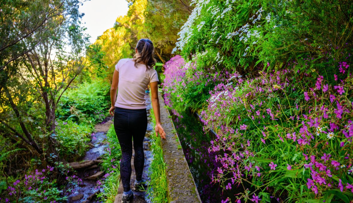 Levada Wanderung auf Madeira &copy; Simon Dannhauer - stock.adobe.com