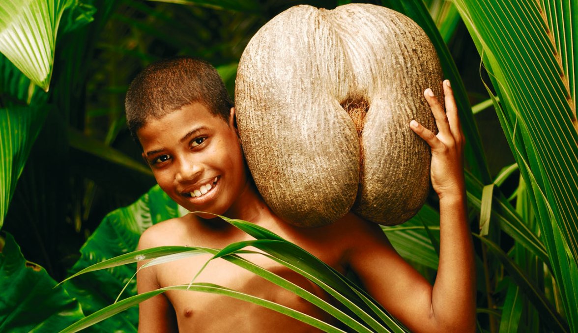 Junge mit Coco de Mer auf den Seychellen &copy; R. Sahuquet/Seychelles Tourist Board/www.fotoseeker.com