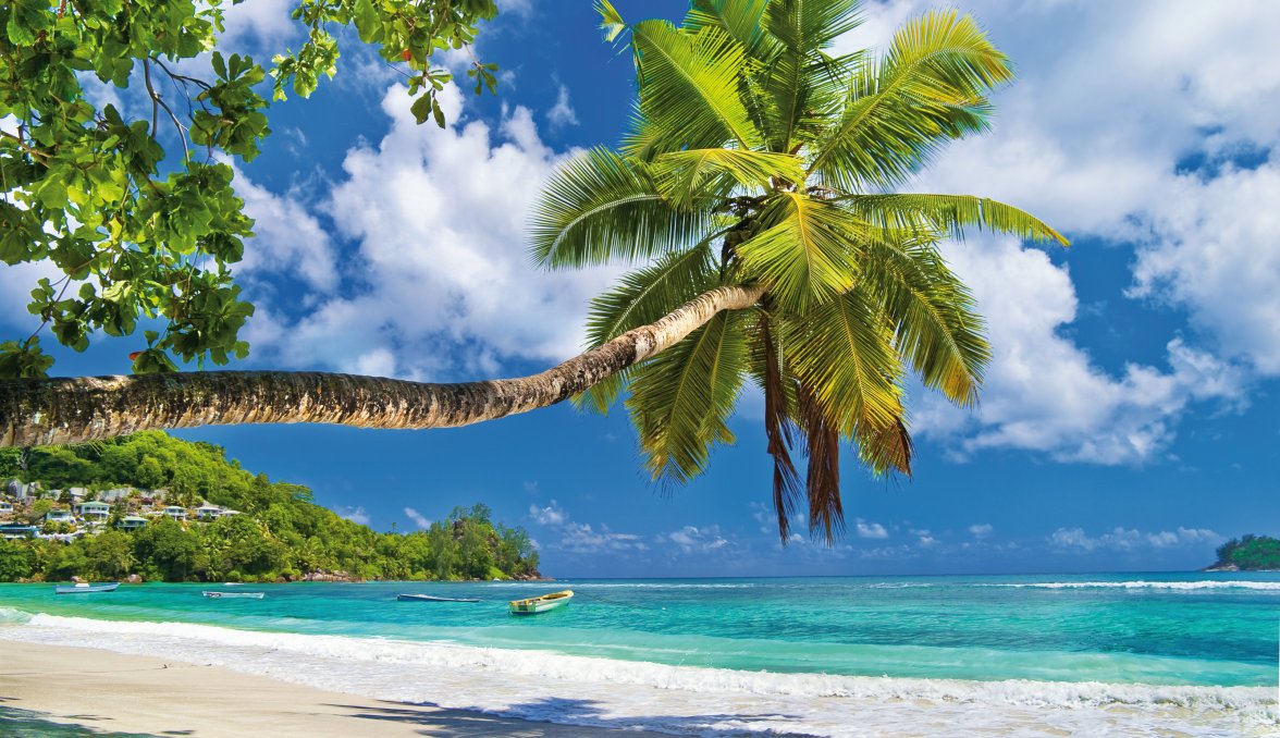 Traumstrand auf den Seychellen &copy; Freesurf-fotolia.com