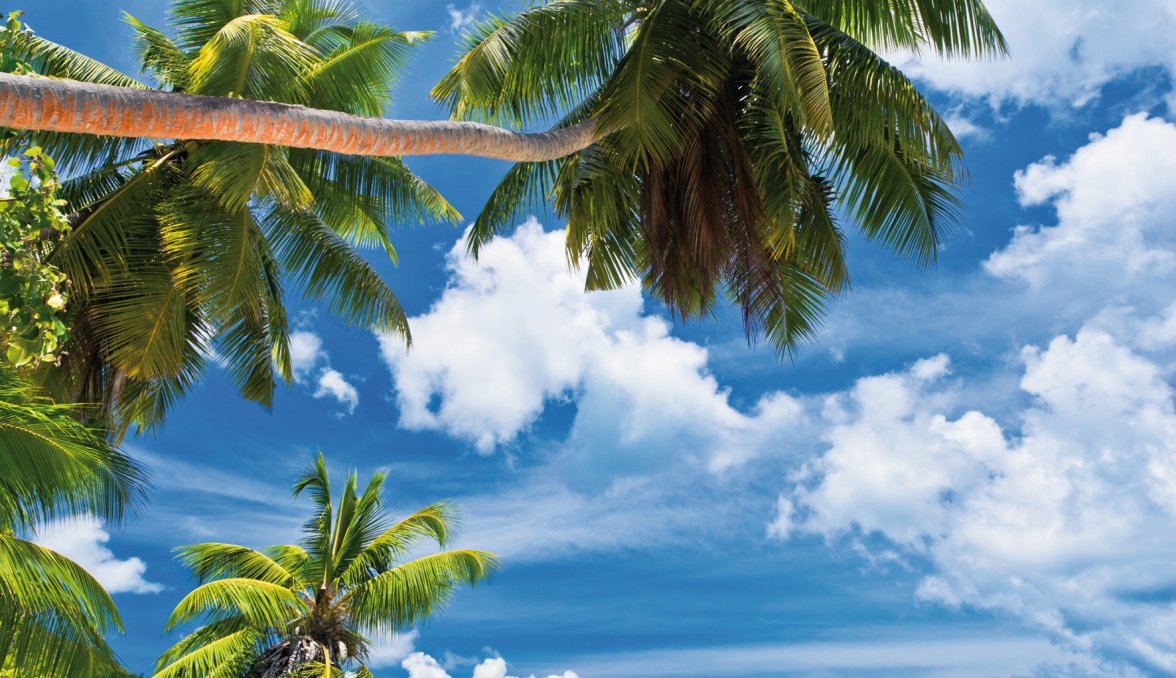 Traumstrand auf den Seychellen &copy; Beboy-fotolia.com