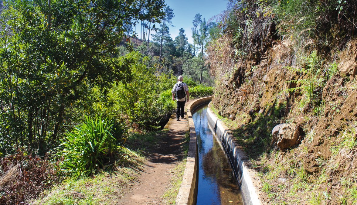 Levada do Norte  &copy; Brad Pict - stock.adobe.com