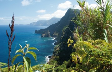 Küste bei Santana &copy; Rulan - fotolia.com