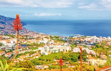 Blick über Funchal &copy; aldorado-fotolia.com