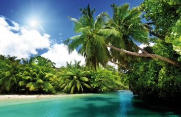 auf den Seychellen &copy; ESB Professional/shutterstock.com