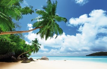 Strand auf der Insel Mahe auf den Seychellen &copy; ESB Professional/shutterstock.com