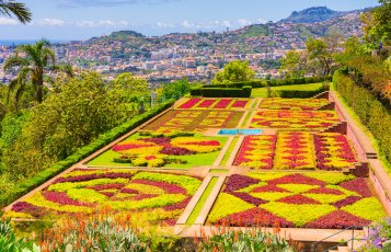 Botanischer Garten Funchal &copy; boivinnicolas - stock.adobe.com