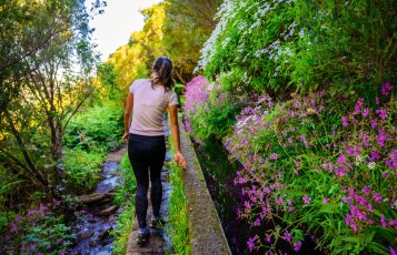 Levada Wanderung auf Madeira &copy; Simon Dannhauer - stock.adobe.com