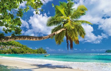 Traumstrand auf den Seychellen &copy; Freesurf-fotolia.com