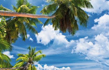 Traumstrand auf den Seychellen &copy; Beboy-fotolia.com