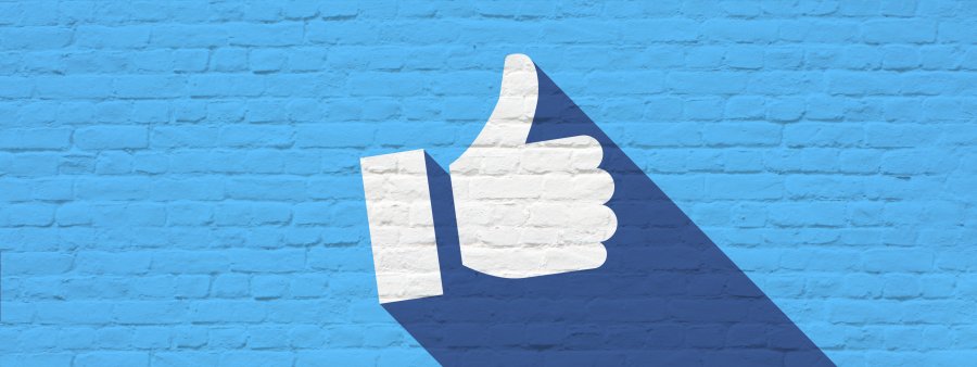 Thumbs up on bricks wall &copy; Brad Pict - stock.adobe.com